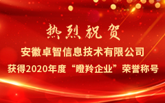 热烈祝贺安徽日韩茄子视频app信息技术有限公司获得2020年度“瞪羚企业”荣誉称号
